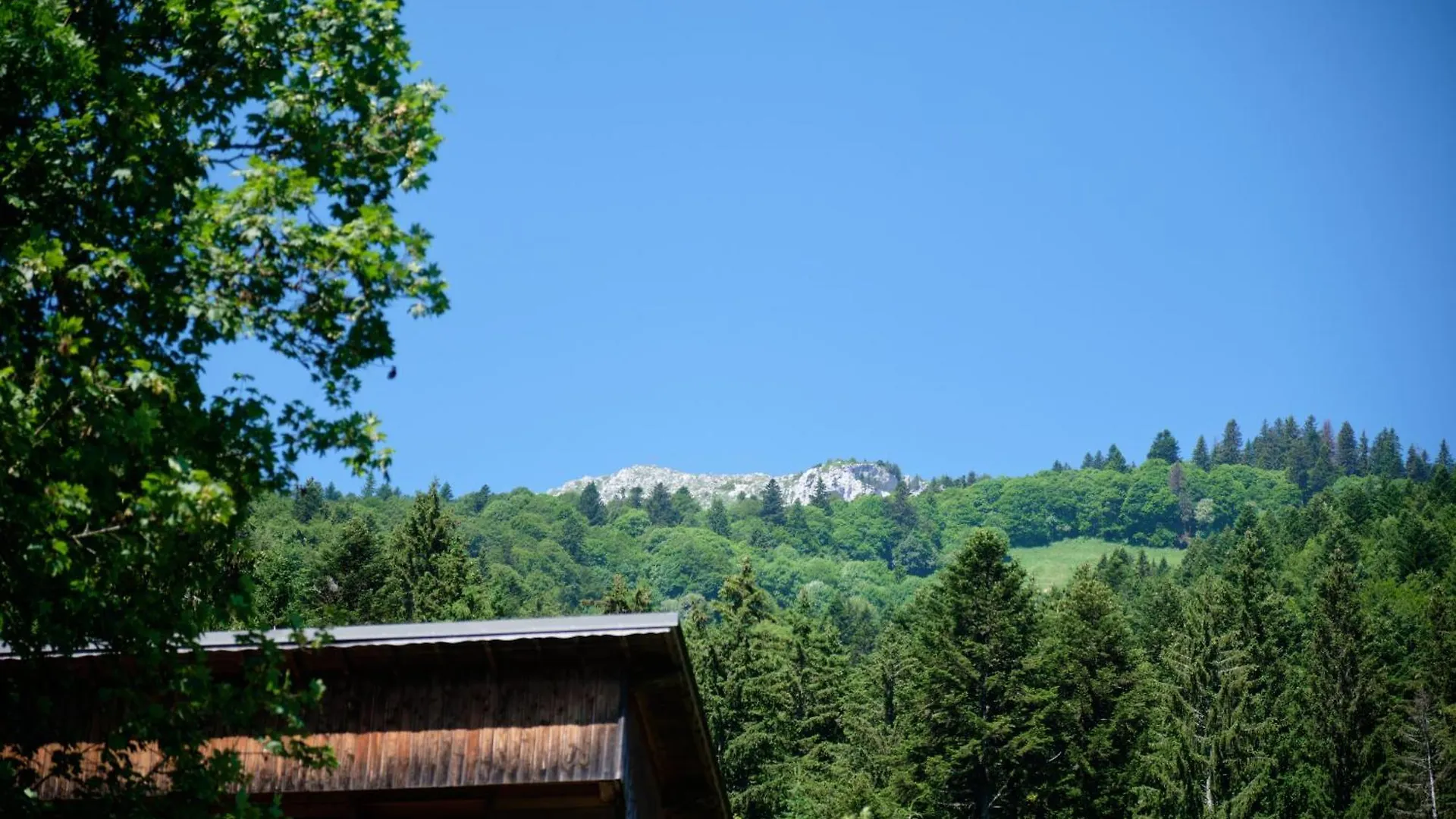 Chalet Du Planolet Le Massot France